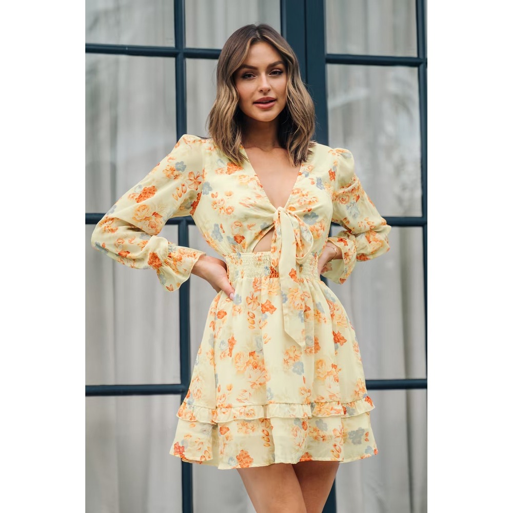Celina V-neck‎ Floral Lace Up Mini Dress